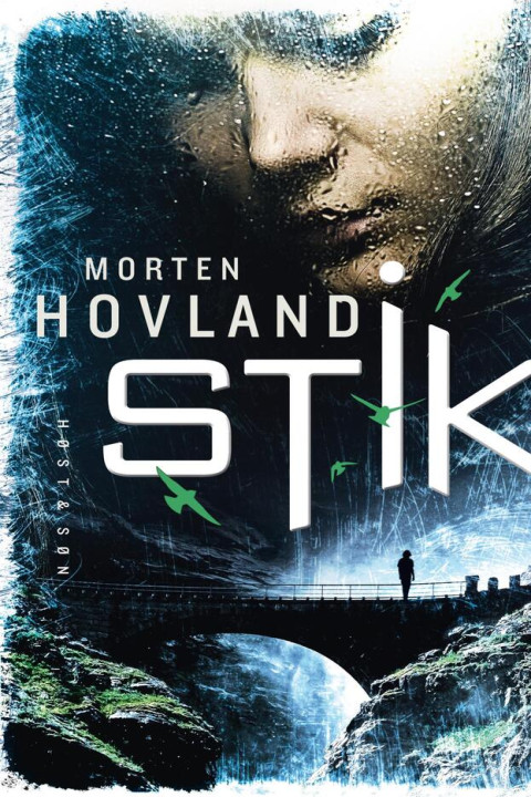 Omslag: Stik