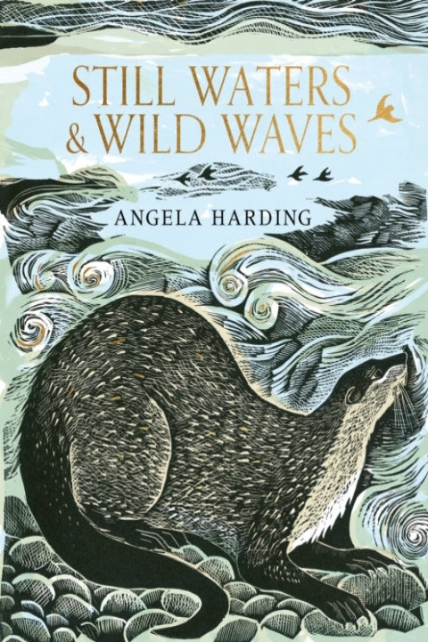Omslag: Still Waters & Wild Waves