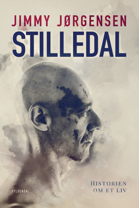 Omslag: Stilledal