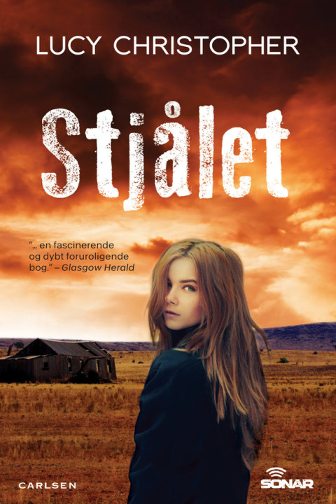 Omslag: Stjålet