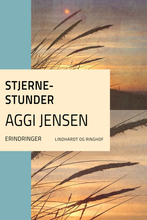 Omslag: Stjernestunder