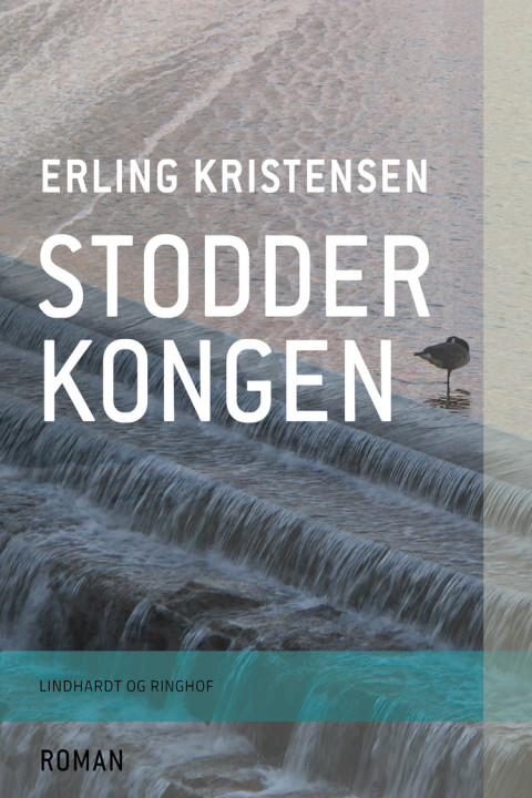 Omslag: Stodderkongen