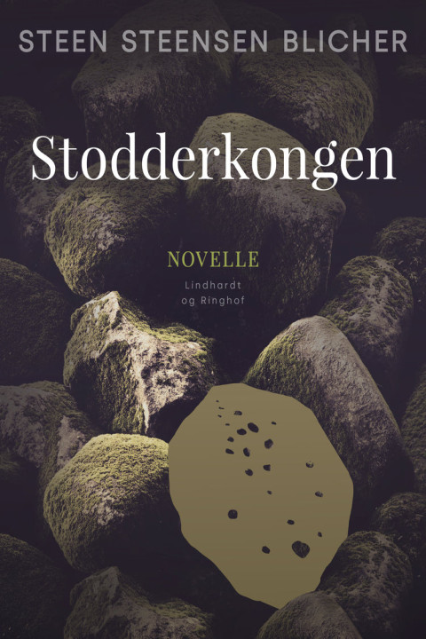 Omslag: Stodderkongen