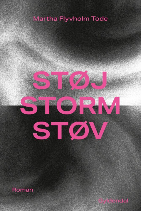 Omslag: Støj, storm, støv