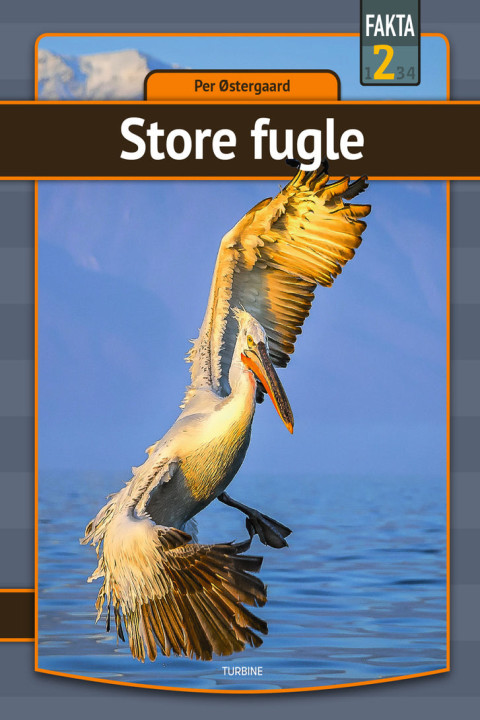 Omslag: Store fugle