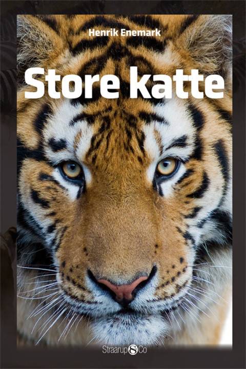 Omslag: Store katte