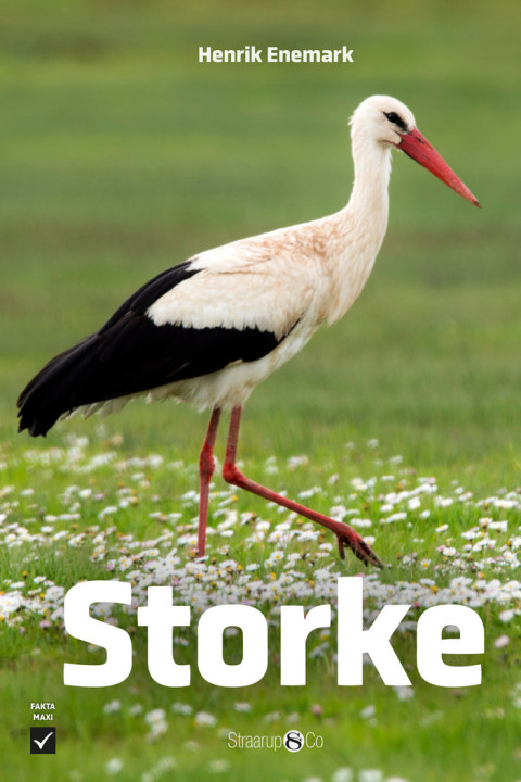 Omslag: Storke