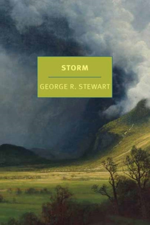 Omslag: Storm