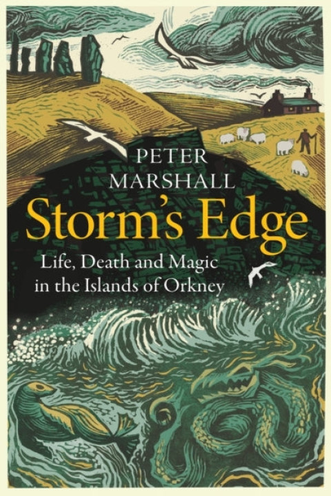 Omslag: Stormâ s Edge