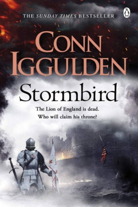 Omslag: Stormbird