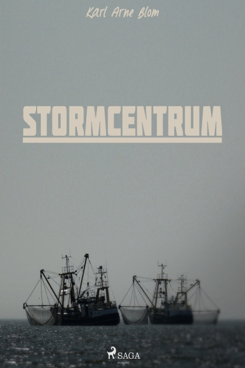Omslag: Stormcentrum