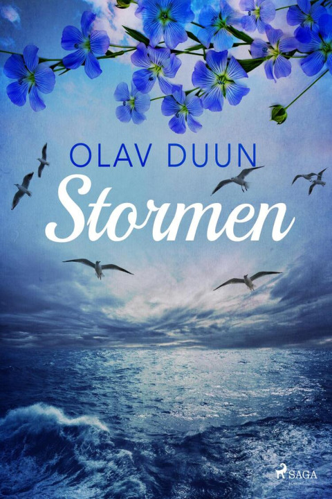 Omslag: Stormen