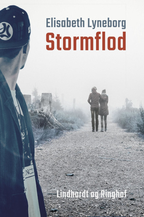 Omslag: Stormflod