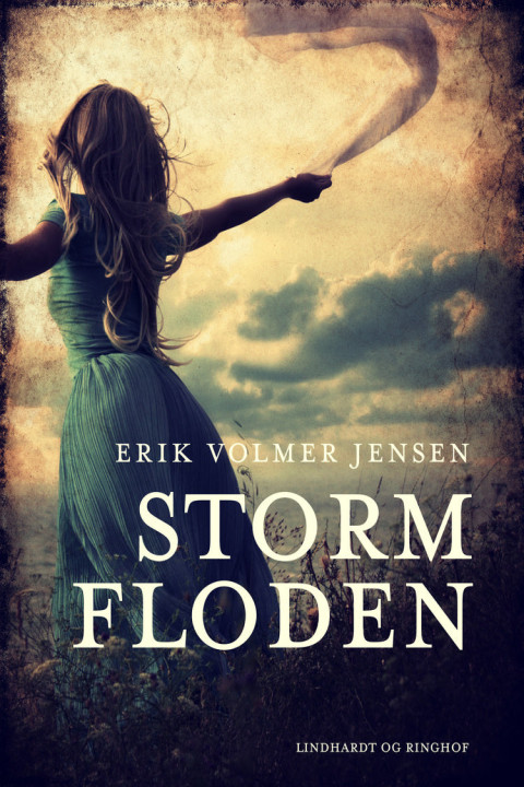 Omslag: Stormfloden