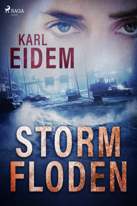 Omslag: Stormfloden
