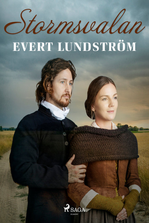 Omslag: Stormsvalan