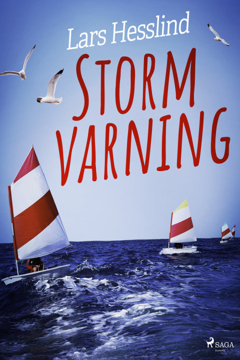 Omslag: Stormvarning