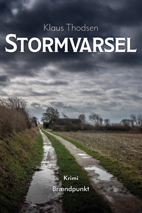 Omslag: Stormvarsel
