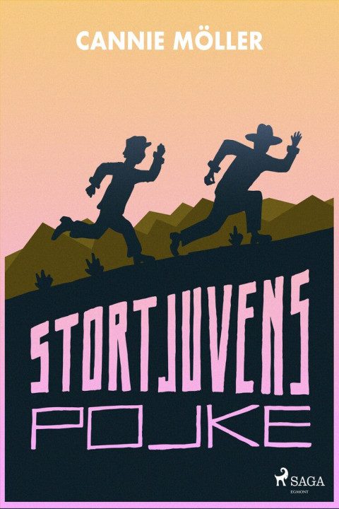Omslag: Stortjuvens pojke