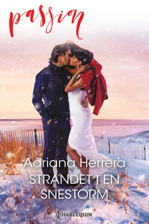 Omslag: Strandet i en snestorm