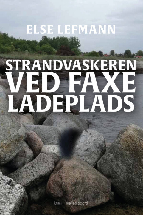 Omslag: Strandvaskeren ved Faxe Ladeplads