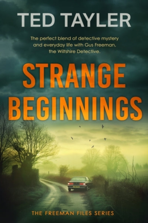 Omslag: Strange Beginnings