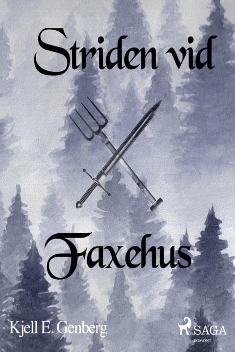 Omslag: Striden vid Faxehus