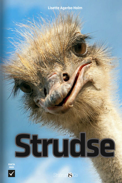 Omslag: Strudse
