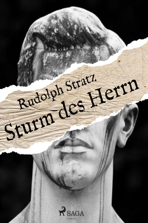 Omslag: Sturm des Herrn