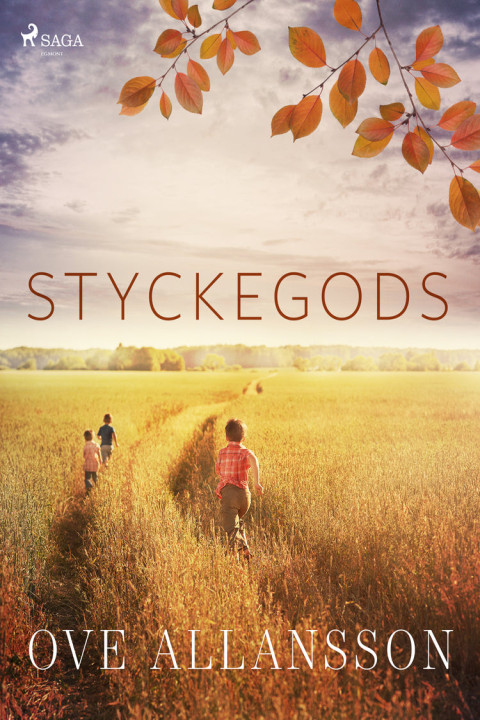 Omslag: Styckegods