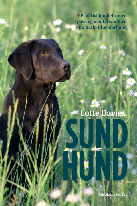 Omslag: Sund Hund