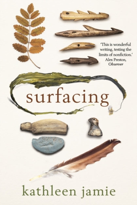 Omslag: Surfacing