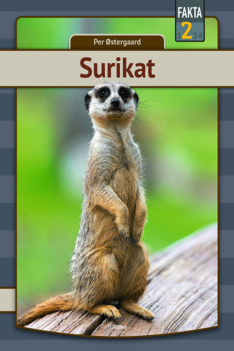 Omslag: Surikat