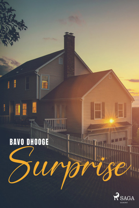 Omslag: Surprise