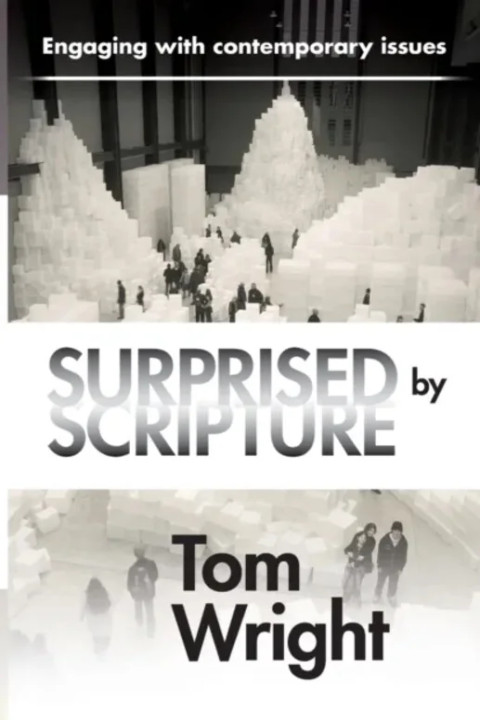 Omslag: Surprised by Scripture Engaging With Contemporary Issues - Engaging With Contemporary Issues