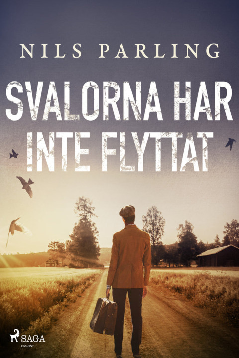 Omslag: Svalorna har inte flyttat