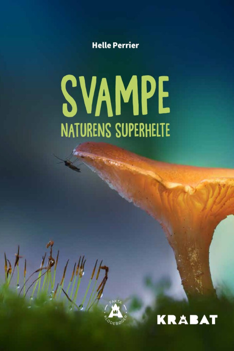 Omslag: Svampe