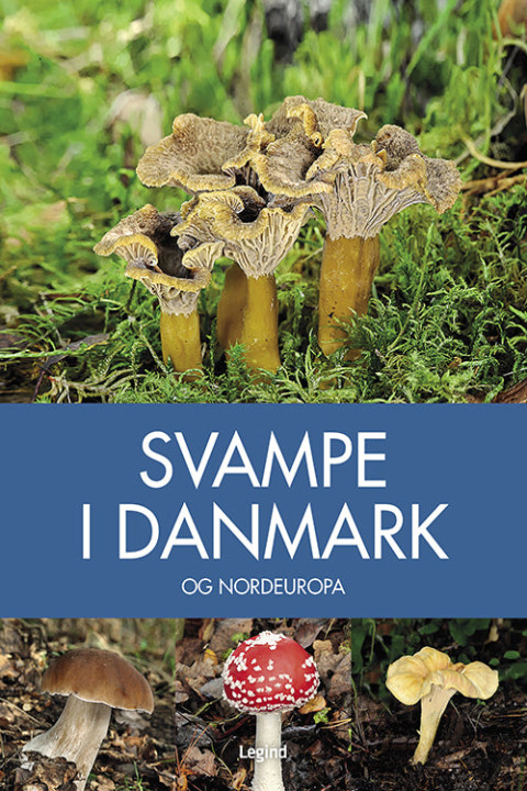 Omslag: Svampe i Danmark