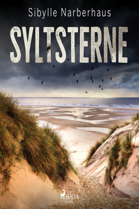 Omslag: Syltsterne