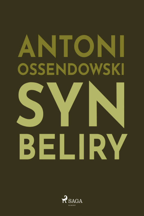 Omslag: Syn Beliry