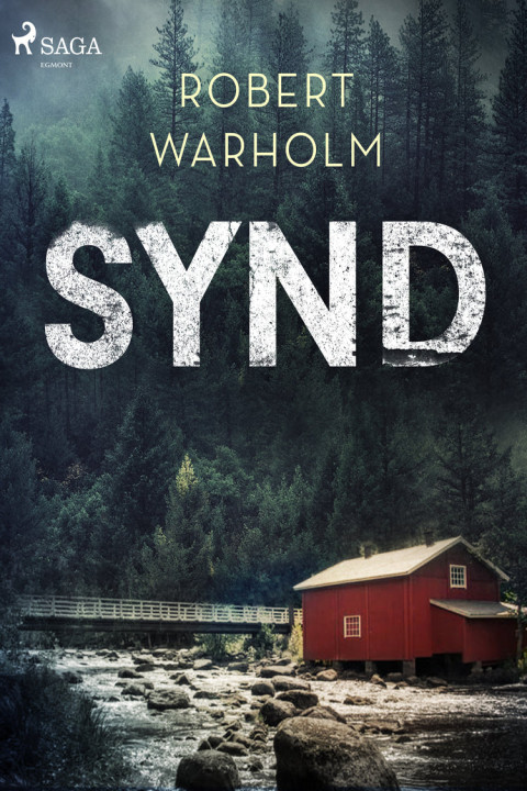 Omslag: Synd