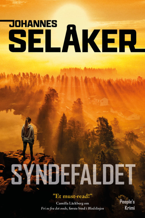 Omslag: Syndefaldet