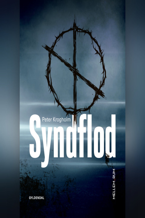 Omslag: Syndflod