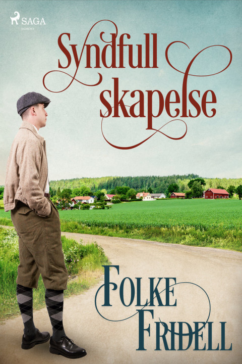 Omslag: Syndfull skapelse