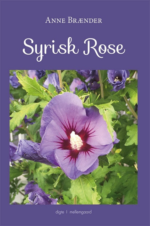 Omslag: Syrisk rose