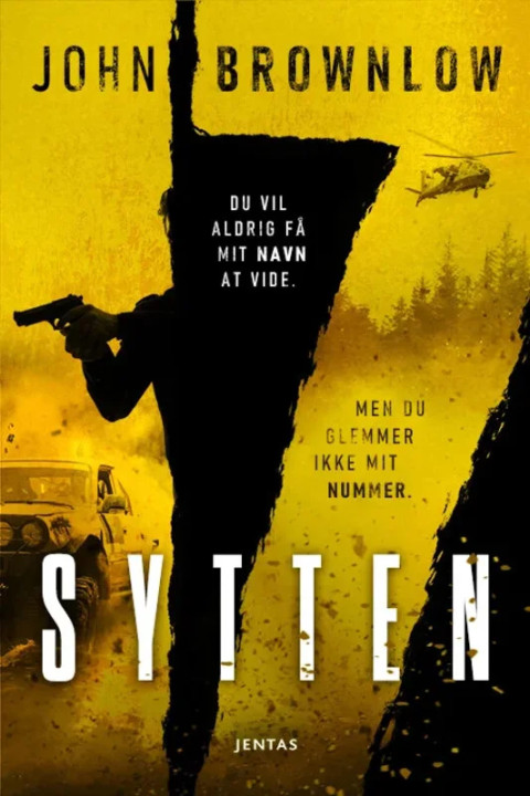 Omslag: Sytten