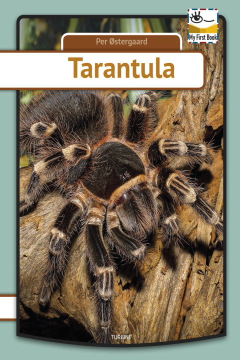 Omslag: Tarantula