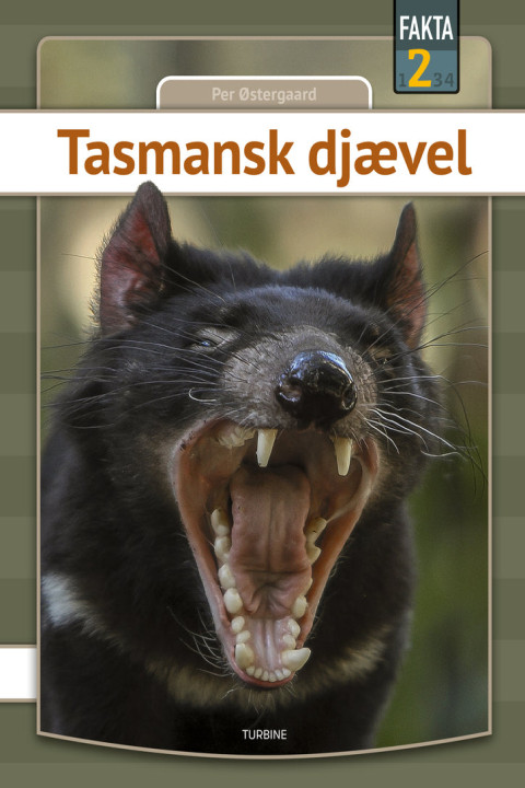 Omslag: Tasmansk djævel