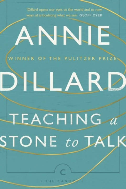 Omslag: Teaching a Stone to Talk