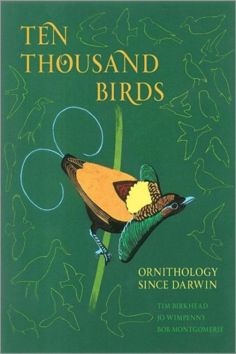 Omslag: Ten Thousand Birds